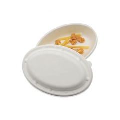 Biodegradable Sugercane Bowl Packed Sugarcane Disposable Oval Bowl