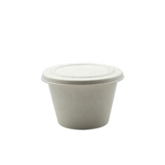 Disposable Bowl Takeaway Bagasse Compostable Sugarcane Bowls