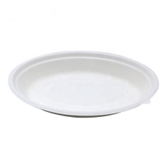 Bagasse Bowl Sugarcane Compostable Biodegradable Disposable Oval Bowls