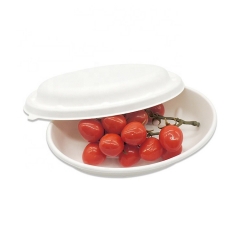 Biodegradable Sugercane Bowl Packed Sugarcane Disposable Oval Bowl