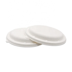 Cuenco oval compostable del bagazo para llevar del cuenco de Sugercane disponible con la tapa