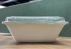 9.2 Inch Sugarcane biodegradable disposable bowl with lid