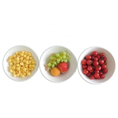 Biodegradable Disposable Packaging Food Container Sugarcane Salad Bowl