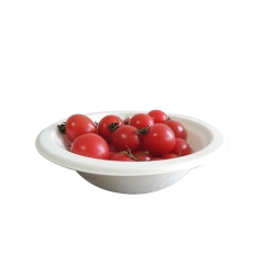 Disposable New Style Eco-friendly Takeaway Biodegradable Salad bowl White