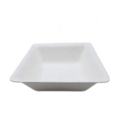 9 Inch Disposable Square Sugarcane Salad Bowls