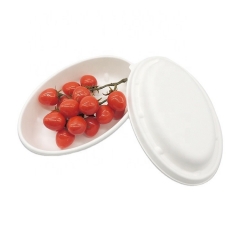 Cuenco oval compostable del bagazo para llevar del cuenco de Sugercane disponible con la tapa