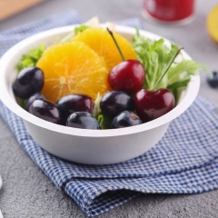 Bol de salade de canne à sucre de conteneurs de nourriture de bagasse biodégradables jetables