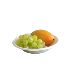 Eco Friendly Disposable 100% biodegradable Bowl White