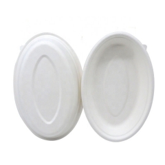 Eco Friendly Bodegradable Compostable Bagasse Takeaway Noodle Bowls