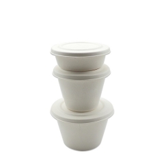 750ml Biodegradable Sugarcane Bagasse Soup Bowl with Lid