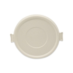 Bol d'emballage de bagasse de canne à sucre jetable de nouveau type à prix attractif