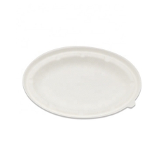 Compostable Sugercane Bowl Disposable Bagasse Compostable 750ml Bowl