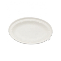 Bol compostable en canne à sucre Bol jetable en bagasse compostable 750ml