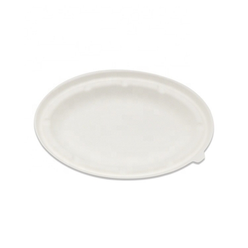 Compostable Sugercane Bowl Disposable Bagasse Compostable 750ml Bowl