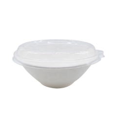 Biodegradable serving disposable salad bowl with lid