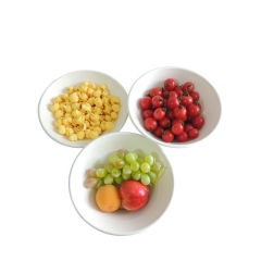 Biodegradable Disposable Packaging Food Container Sugarcane Salad Bowl