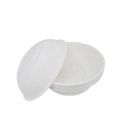 Disposable Bagasse Biodegradable Salad Bowl