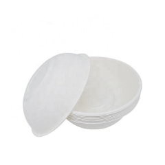 Bagasse Biodegradable Soup Bowl Disposable Compostable