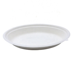 24oz Compostable christmas biodegradable dessert disposable bowl bagasse pulp salad bowl