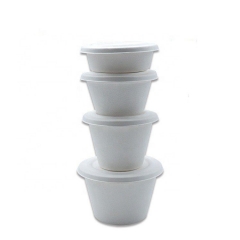 250ml Günstiger Preis Becher Biologisch abbaubarer Bagasse Becher mit Deckel