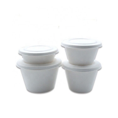 250ML Small Ice Cream Cup Sugarcane Food Containers Biodegradable