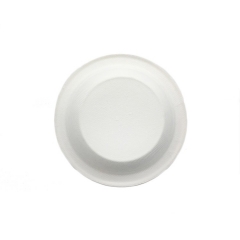 Bol jetable compostable de bagasse de canne à sucre biodégradable de 12 oz