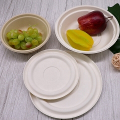 16oz Disposable Bagasse Bowl Desechable Biodegradable