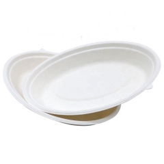 24OZ Bagaço biodegradável saladeira oval tigela biodegradável descartável