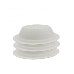 Bol en bagasse biodégradable rond 16OZ Bol compostable Bol à emporter