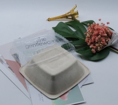 Recipiente de alimentos biodegradáveis ​​de 24 onças com bagaço de saladeira quadrada
