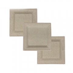 Factory Wholesale Eco-Friendly Disposable Sugarcane Bagasse Square plates