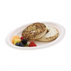 Eco-Friendly Biodegradable Compostable Sugarcane Bagasse Plate