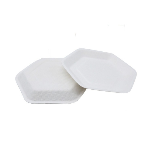 Factory direct plate biodegradable sugarcane fruit fast food plates