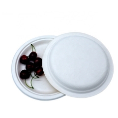 음식을 위한 백색 사탕수수 9 인치 둥근 판 생물 분해성 판