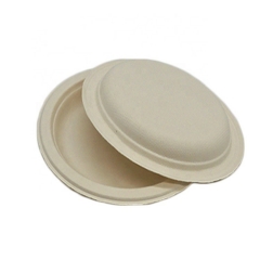 High Quality Nature White Disposable Sugar Bagasse Plates