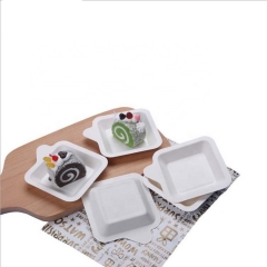 Hot Sale Biodegradable Bagasse Paper Cake Plate