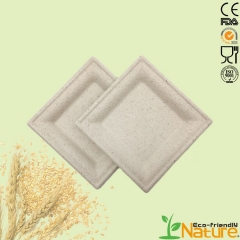Popular Decomposable Square Sugarcane Bagasse Plate