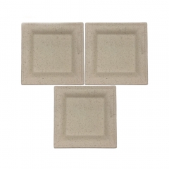 Factory Wholesale Eco-Friendly Disposable Sugarcane Bagasse Square plates