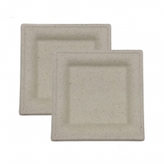 Großhandel benutzerdefinierte Zuckerrohr Pappteller Tablett Abendessen Set quadratische Platte für Restaurant