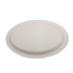 Plat ovale de partie de bagasse de canne à sucre jetable biodégradable en gros pour le restaurant