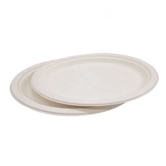 Eco Friendly Disposable Oval Sugarcane Plates For Food