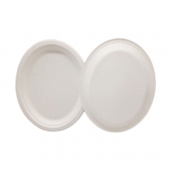 Hot Selling Biodegradable Disposable Bagasse Oval Party Plates