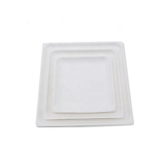 New Design Eco Sugarcane Pulp Bagasse Disposable Plate for Cake