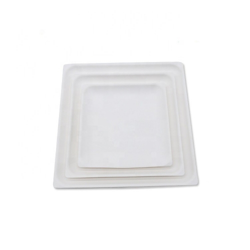 New Design Eco Sugarcane Pulp Bagasse Disposable Plate for Cake