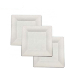 Hot Sale 8 pouces plaques jetables de canne à sucre biodégradable