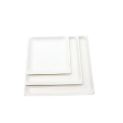 Promotional top quality disposable biodegradable sugarcane square plate