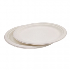 Usine Directement Eco Biodégradable Pâte De Bagasse Papier Canne À Sucre Plaque Ovale Blanc