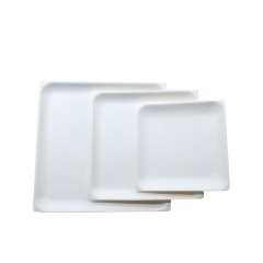 Promotional top quality disposable biodegradable sugarcane square plate