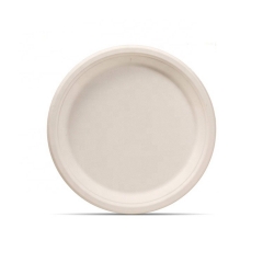 Popular disposable sugarcane bagasse compostable oval party food plates