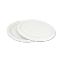 Restaurant oval plate biodegradable take away sugarcane paper plate